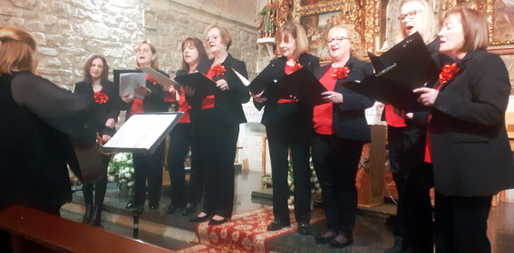 semana del enfermo 2024